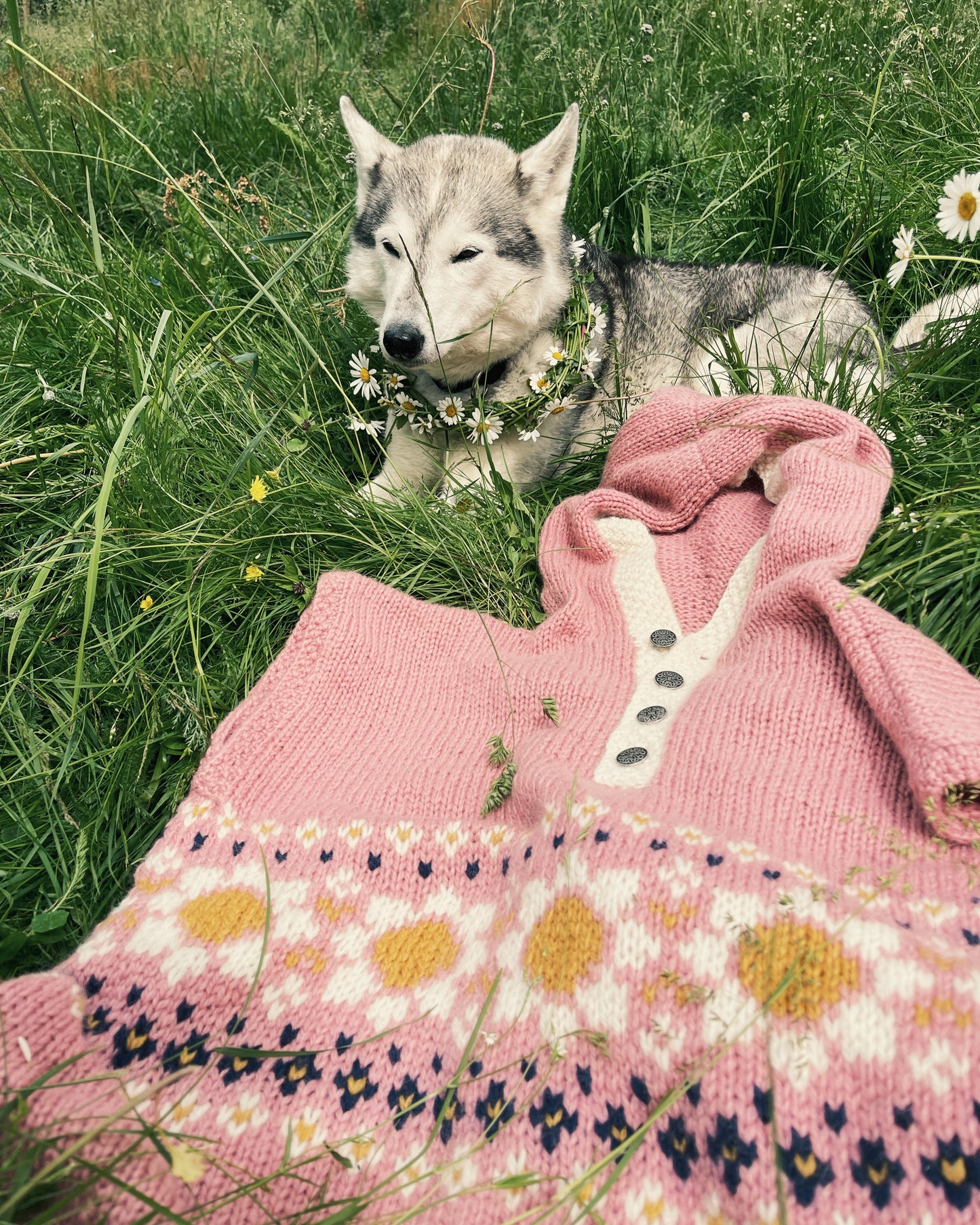 Pokharavest | Linka Neumann | Strikkepakke