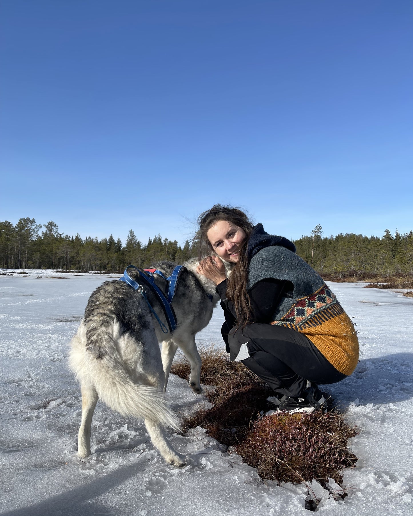 Sørvest | Linka Neumann | Strikkepakke