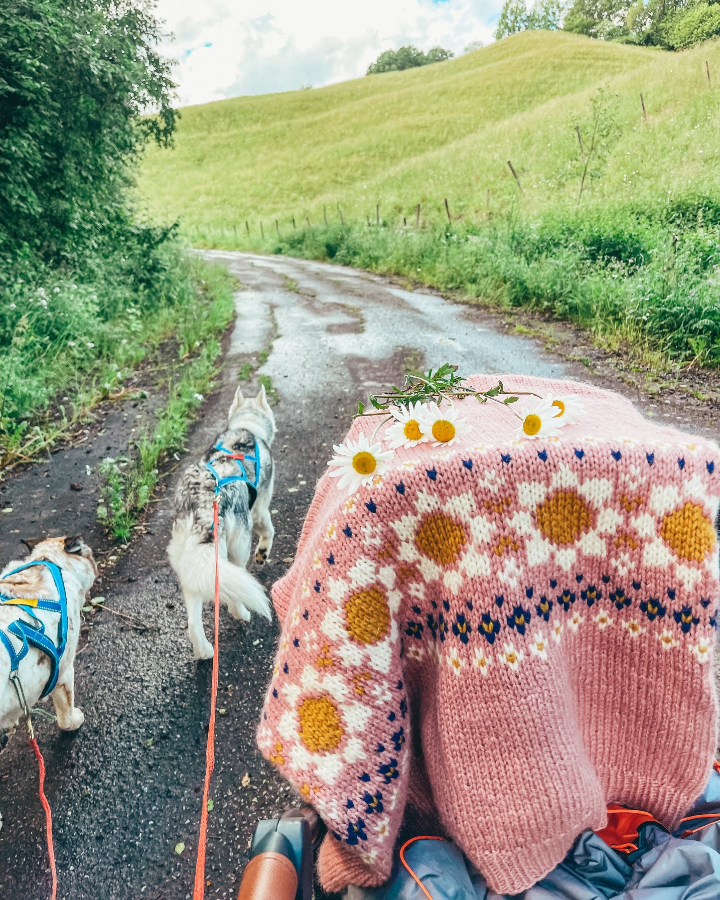 Pokharavest | Linka Neumann | Strikkepakke
