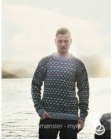 2-NB20 Herregenser med mønster | Digital Oppskrift