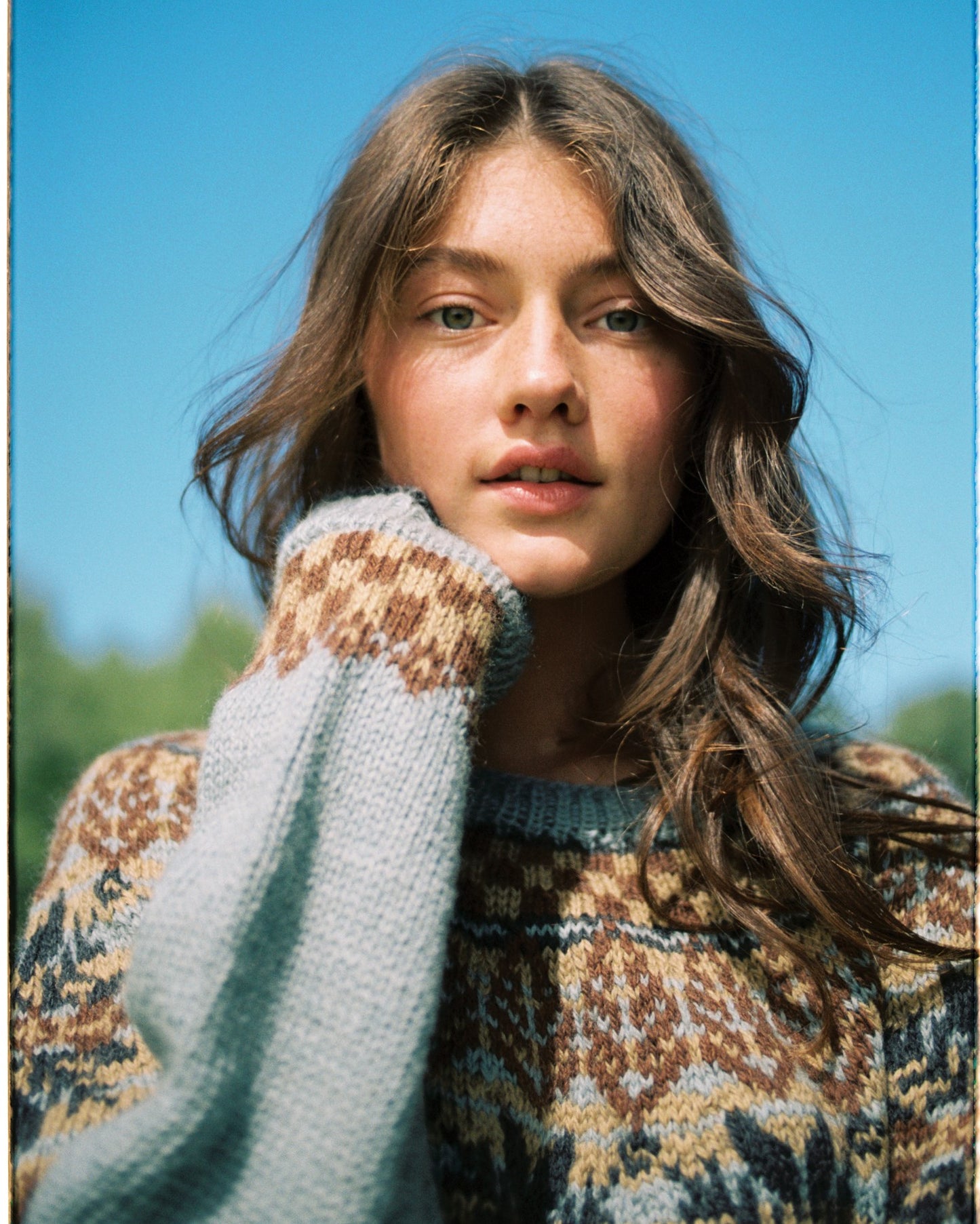 Fjellrose | Nostalgi