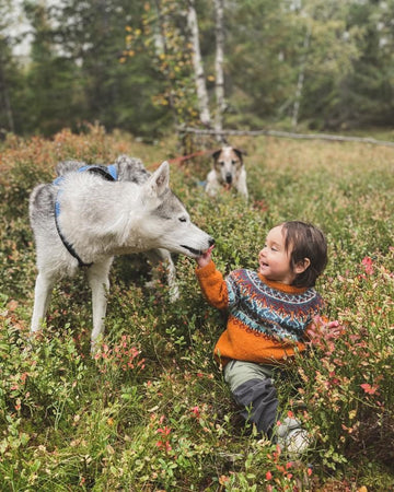 Alasuq Baby | Linka Neumann | Strikkepakke