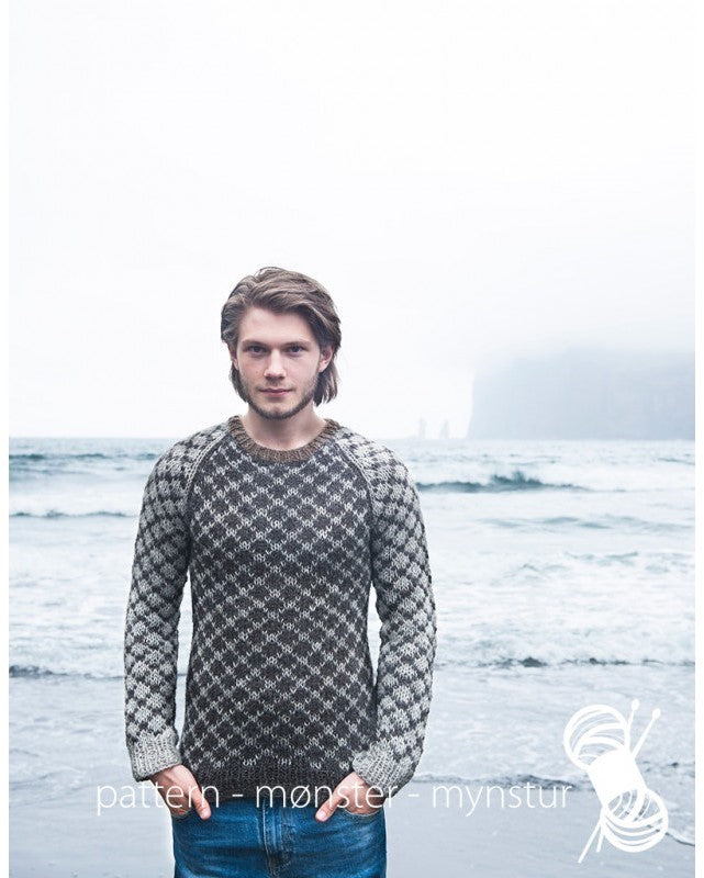 1-NB22 Mønstret genser til menn | Digital Oppskrift