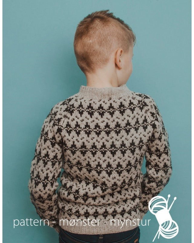 4-NB33 Mønstret genser til gutt | Digital Oppskrift